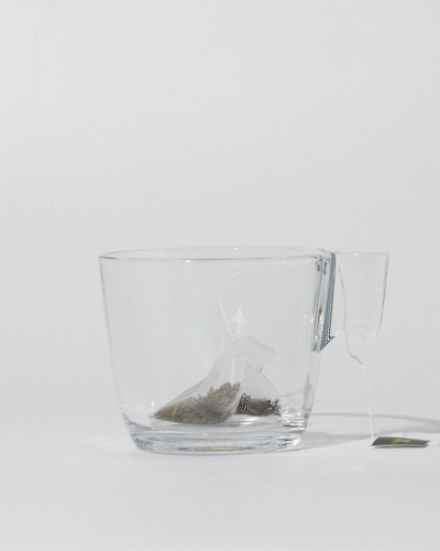 Tea Culture™ Green Sencha Pyramid Infusers